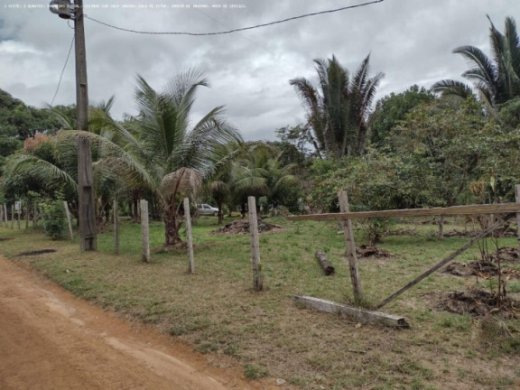 Imagem Chácara à Venda, 5.000 m² em Areia Branca - Porto Velho Imagem Chácara à Venda, 5.000 m² em Areia Branca - Porto Velho