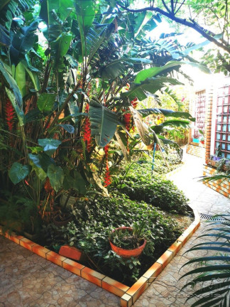 Imagem Casa com 2 Quartos à Venda, 213 m² em Vila Lúcia - São Paulo