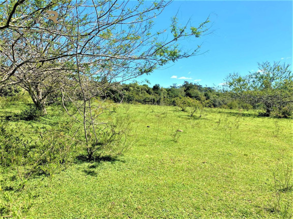 Imagem Chácara à Venda, 5.000 m² em Fiuza - Viamão Imagem Chácara à Venda, 5.000 m² em Fiuza - Viamão
