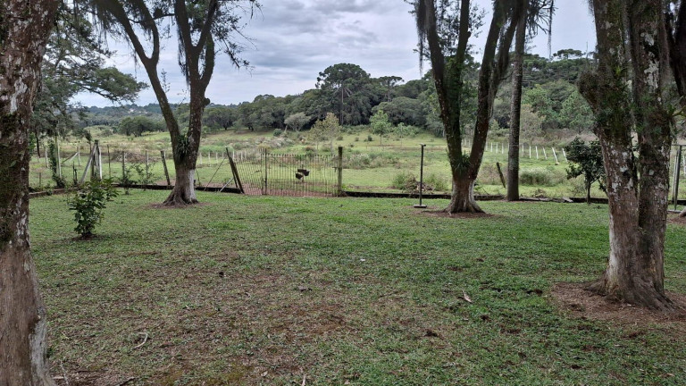 Imagem Imóvel com 3 Quartos à Venda, 140 m² em Campina Do Taquaral - Sao Jose Dos Pinhais Imagem Imóvel com 3 Quartos à Venda, 140 m² em Campina Do Taquaral - Sao Jose Dos Pinhais