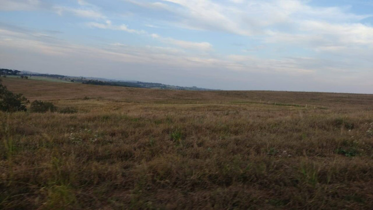 Imagem Fazenda à Venda, 1 m² em Morro Alto - Itapetininga Imagem Fazenda à Venda, 1 m² em Morro Alto - Itapetininga
