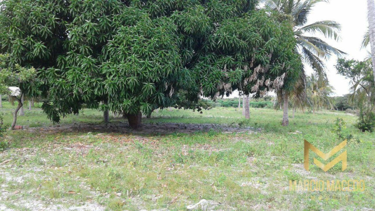 Imagem Terreno à Venda, 247.664 m² em Zona Rural - Beberibe Imagem Terreno à Venda, 247.664 m² em Zona Rural - Beberibe