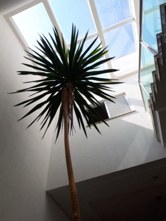 Imagem Sobrado com 3 Quartos à Venda, 175 m² em Vila Floresta - Santo André Imagem Sobrado com 3 Quartos à Venda, 175 m² em Vila Floresta - Santo André