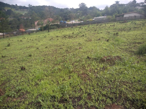 Imagem Terreno à Venda, 2.000 m² em Alpes Paulista (mailasqui) - São Roque Imagem Terreno à Venda, 2.000 m² em Alpes Paulista (mailasqui) - São Roque