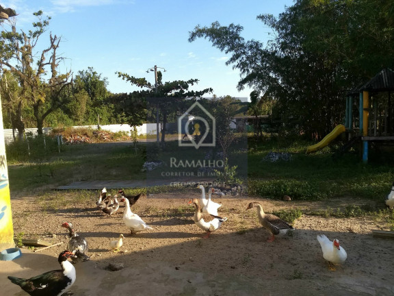 Imagem Chácara com 2 Quartos à Venda, 1.298 m² em Itaguaí - Mongaguá Imagem Chácara com 2 Quartos à Venda, 1.298 m² em Itaguaí - Mongaguá