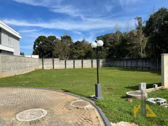 Imagem Terreno à Venda, 1.185 m² em Santa Felicidade - Curitiba Imagem Terreno à Venda, 1.185 m² em Santa Felicidade - Curitiba