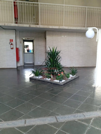 Imagem Apartamento com 2 Quartos à Venda, 45 m² em Jardim Santa Terezinha (zona Leste) - São Paulo Imagem Apartamento com 2 Quartos à Venda, 45 m² em Jardim Santa Terezinha (zona Leste) - São Paulo