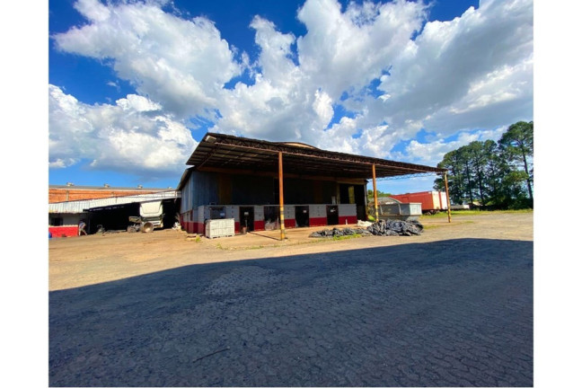 Imagem Imóvel à Venda, 32.200 m² em São Luis - Canoas