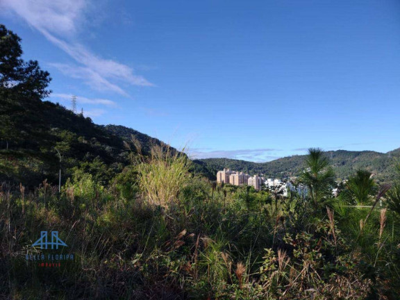 Imagem Terreno à Venda, 450 m² em Itacorubi - Florianópolis Imagem Terreno à Venda, 450 m² em Itacorubi - Florianópolis