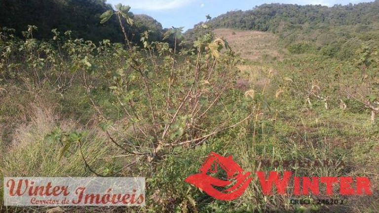 Imagem Chácara à Venda, 8 m² em Picada Cara - Feliz Imagem Chácara à Venda, 8 m² em Picada Cara - Feliz