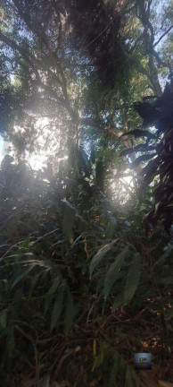 Imagem Terreno à Venda, 1.414 m² em Centro - Diadema Imagem Terreno à Venda, 1.414 m² em Centro - Diadema