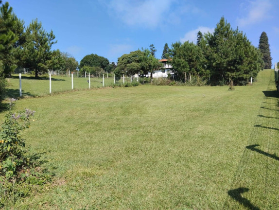 Imagem Chácara com 3 Quartos à Venda, 180 m² em Campo Alegre