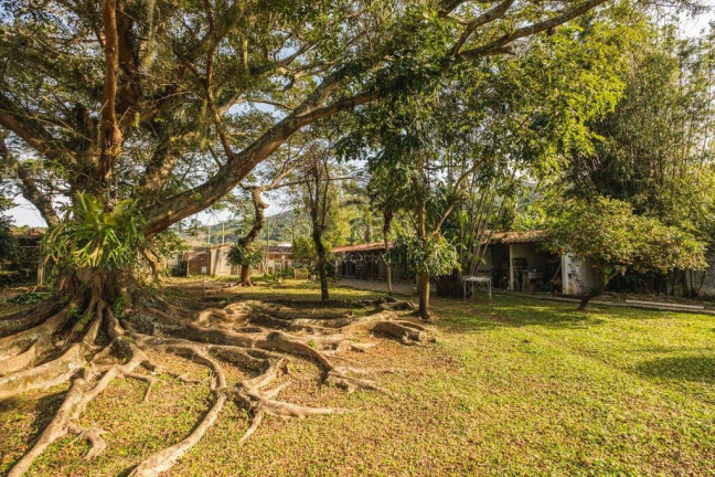 Imagem Casa com 4 Quartos à Venda, 264 m² em Enseada Do Brito (ens Brito) - Palhoça