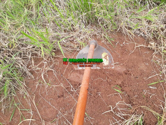 Imagem Chácara à Venda, 750 m² em Sob. Consulta - Paraibuna Imagem Chácara à Venda, 750 m² em Sob. Consulta - Paraibuna