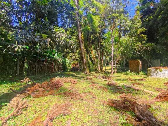 Imagem Chácara à Venda, 6.000 m² em Loteamento Chácara Chantecler - Piraquara Imagem Chácara à Venda, 6.000 m² em Loteamento Chácara Chantecler - Piraquara
