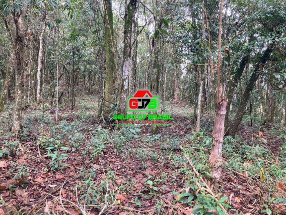 Imagem Chácara à Venda, 13 m² em São Francisco Xavier - São José Dos Campos Imagem Chácara à Venda, 13 m² em São Francisco Xavier - São José Dos Campos