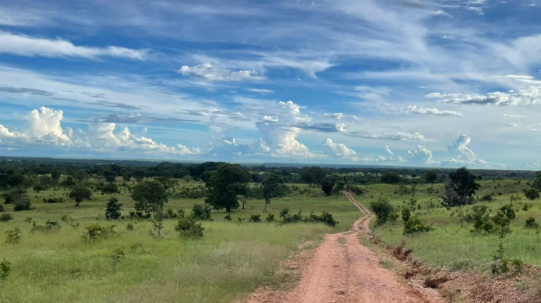 Imagem Fazenda à Venda, 500 m² em Zona Rural - Aliança Do Tocantins