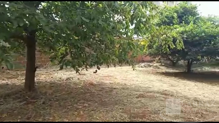 Imagem Terreno à Venda, 2.088 m² em Ipiranga - Ribeirão Preto Imagem Terreno à Venda, 2.088 m² em Ipiranga - Ribeirão Preto