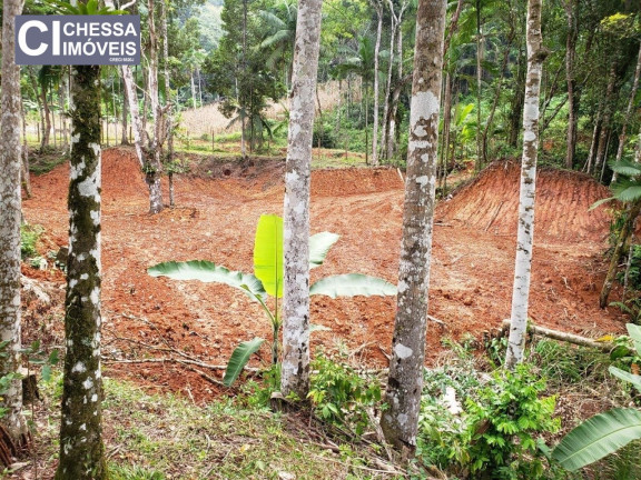 Imagem Chácara com 2 Quartos à Venda, 21.000 m² em Vila Do Salto - Luiz Alves