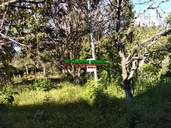 Imagem Chácara com 2 Quartos à Venda, 25.000 m² em Sob Consulta - Virgínia Imagem Chácara com 2 Quartos à Venda, 25.000 m² em Sob Consulta - Virgínia
