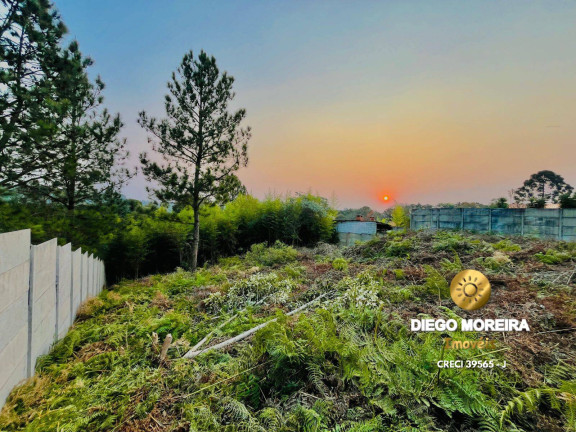 Imagem Chácara com 3 Quartos à Venda, 116 m² em Terra Preta - Mairiporã Imagem Chácara com 3 Quartos à Venda, 116 m² em Terra Preta - Mairiporã