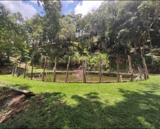 Imagem Chácara com 3 Quartos à Venda, 48.000 m² em Portão - Atibaia
