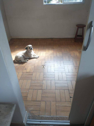 Imagem Apartamento com 2 Quartos à Venda, 65 m² em Campo Grande - Santos Imagem Apartamento com 2 Quartos à Venda, 65 m² em Campo Grande - Santos