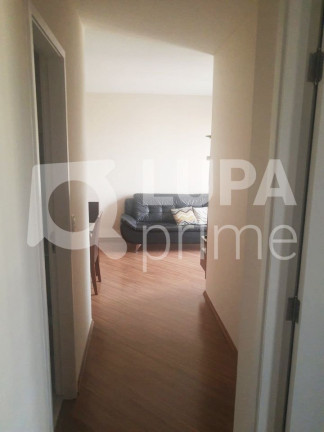 Imagem Apartamento com 3 Quartos à Venda, 65 m² em Vila Maria Alta - São Paulo Imagem Apartamento com 3 Quartos à Venda, 65 m² em Vila Maria Alta - São Paulo