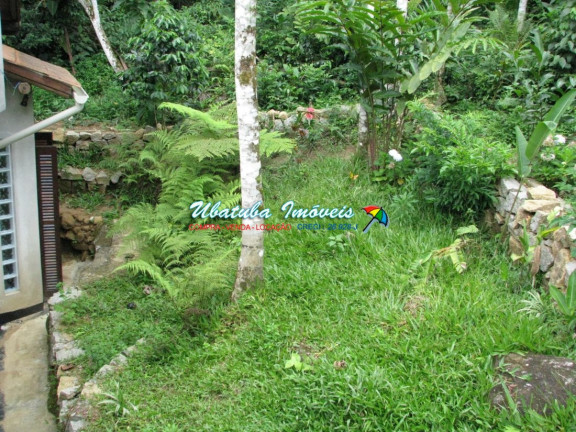 Imagem Fazenda à Venda, 240 m² em Casanga - Ubatuba Imagem Fazenda à Venda, 240 m² em Casanga - Ubatuba