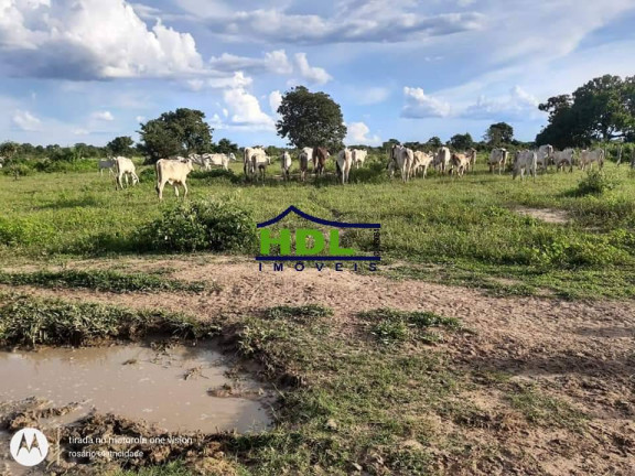 Imagem Fazenda à Venda, 318 m² em Zona Rural - Araguaiana Imagem Fazenda à Venda, 318 m² em Zona Rural - Araguaiana