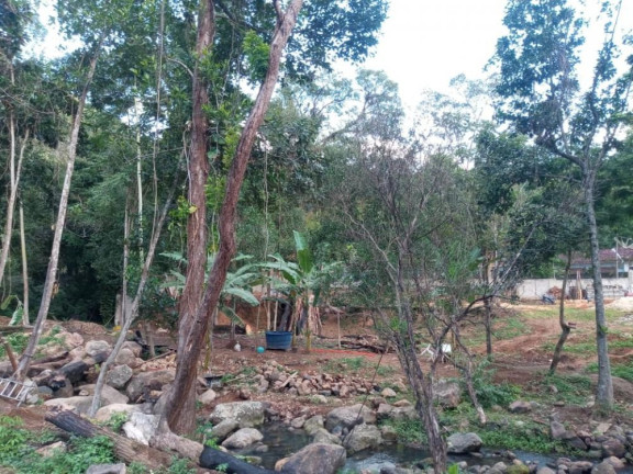 Imagem Imóvel à Venda, 3.000 m² em Campo Grande - Rio De Janeiro Imagem Imóvel à Venda, 3.000 m² em Campo Grande - Rio De Janeiro
