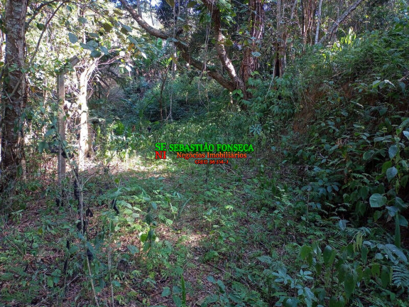 Imagem Chácara à Venda, 5.000 m² em Canaã Ll - Jambeiro Imagem Chácara à Venda, 5.000 m² em Canaã Ll - Jambeiro