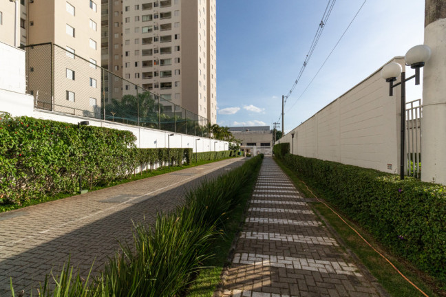Imagem Apartamento com 2 Quartos à Venda, 42 m² em água Branca - São Paulo Imagem Apartamento com 2 Quartos à Venda, 42 m² em água Branca - São Paulo