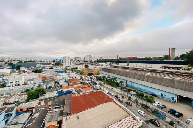 Imagem Apartamento com 3 Quartos à Venda, 70 m² em Saúde - São Paulo Imagem Apartamento com 3 Quartos à Venda, 70 m² em Saúde - São Paulo