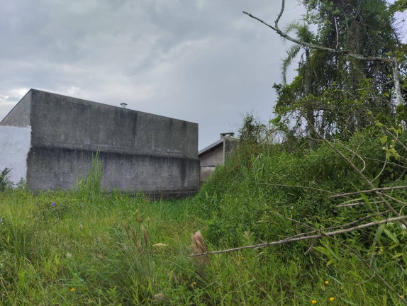 Imagem Terreno à Venda, 300 m² em Ubatuba - São Francisco Do Sul Imagem Terreno à Venda, 300 m² em Ubatuba - São Francisco Do Sul