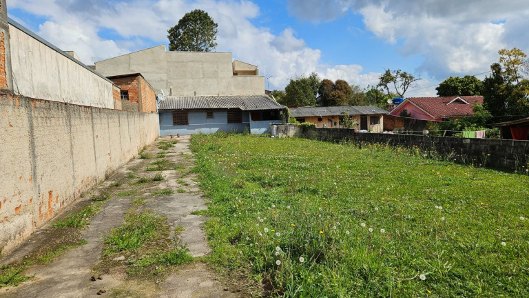 Terreno à Venda,  em Costeira - Araucaria