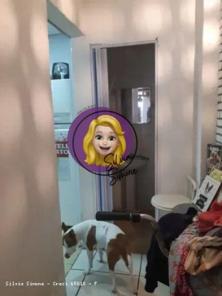 Imagem Sobrado com 3 Quartos à Venda, 167 m² em Vila Valença - São Vicente