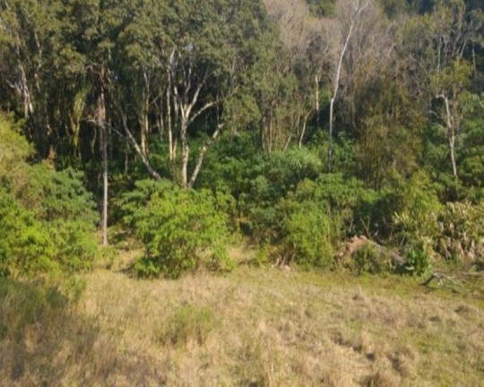Imagem Terreno à Venda, 3 m² em Fazenda Pirajá - Nova Petrópolis Imagem Terreno à Venda, 3 m² em Fazenda Pirajá - Nova Petrópolis