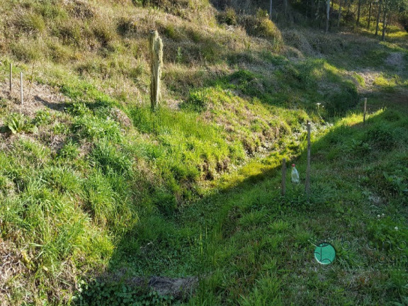 Imagem Imóvel com 2 Quartos à Venda, 50.000 m² em Zona Rural - Alfredo Wagner