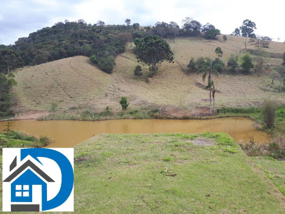 Imagem Chácara com 4 Quartos à Venda, 200 m² em Rural - Itapeva Imagem Chácara com 4 Quartos à Venda, 200 m² em Rural - Itapeva
