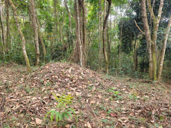 Imagem Chácara à Venda, 56 m² em Cachoeira Abaixo - Piracaia Imagem Chácara à Venda, 56 m² em Cachoeira Abaixo - Piracaia