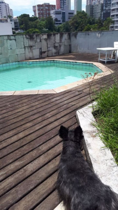 Imagem Cobertura com 4 Quartos à Venda, 400 m² em Sumarezinho - São Paulo Imagem Cobertura com 4 Quartos à Venda, 400 m² em Sumarezinho - São Paulo