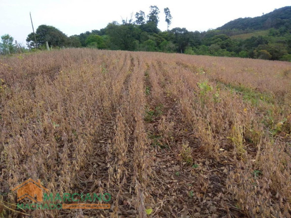 Terreno à Venda, 79 m² em Rural - Encruzilhada Do Sul