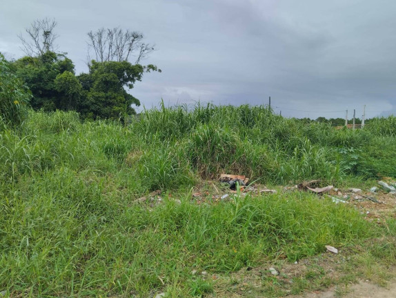 Imagem Terreno à Venda, 325 m² em Salinas - Balneário Barra Do Sul Imagem Terreno à Venda, 325 m² em Salinas - Balneário Barra Do Sul
