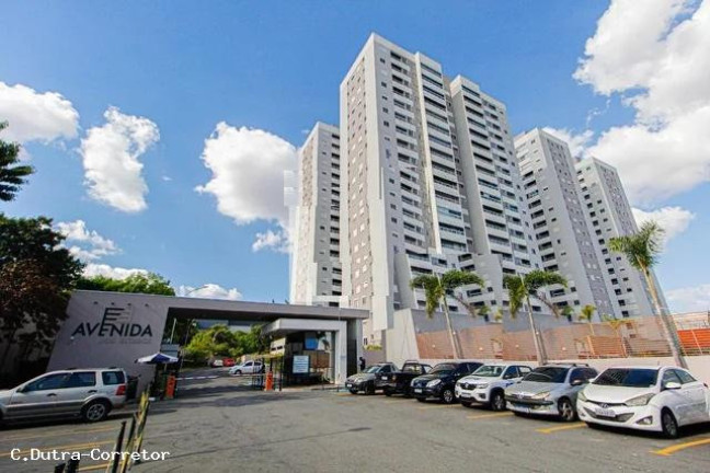 Apartamento com 2 Quartos à Venda, 48 m² em Vila Metalúrgica - Santo André