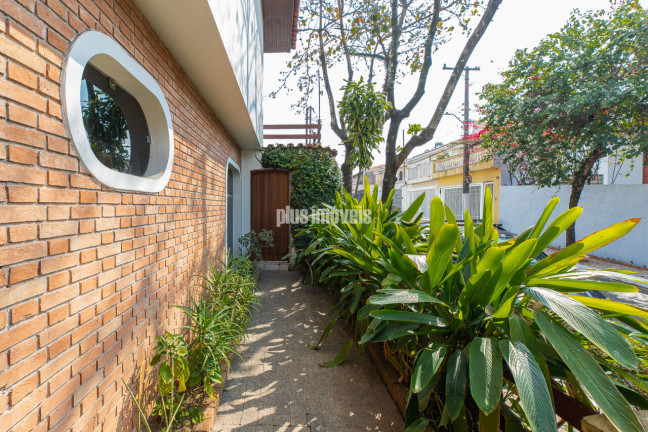 Imagem Casa com 4 Quartos à Venda, 265 m² em Butantã - São Paulo