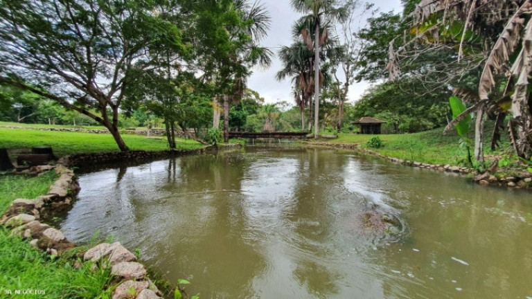 Imagem Chácara à Venda, 32 m² em Centro - Porto Velho Imagem Chácara à Venda, 32 m² em Centro - Porto Velho