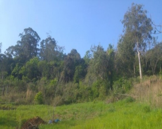Imagem Terreno à Venda, 3.382 m² em Vale Verde - Nova Petrópolis Imagem Terreno à Venda, 3.382 m² em Vale Verde - Nova Petrópolis