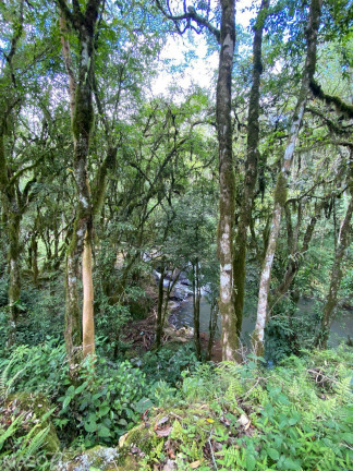 Imagem Chácara com 3 Quartos à Venda, 15.000 m² em Linha Araripe A - Gramado Imagem Chácara com 3 Quartos à Venda, 15.000 m² em Linha Araripe A - Gramado
