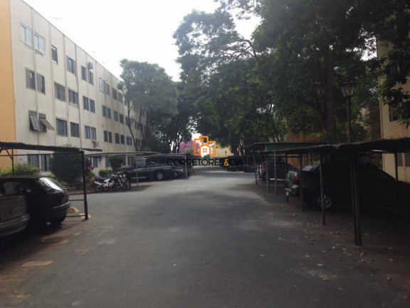 Apartamento com 2 Quartos à Venda, 58 m² em Vila Virgínia - Ribeirão Preto